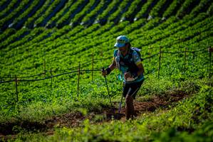 BIB: 
                            <button type="button" onclick="openModal(19160661)" class="btn btn-primary btn-sm float-right btn-popup" data-toggle="modal" data-target=".modal-high-quality">
                        <i class="fas fa-shopping-cart"></i> Add to Cart
                    </button>
                                            <button type="button" onclick="isThisMe(19160661, true)" class="btn btn-success btn-sm float-right btn-popup btn-isme hidden" data-toggle="tooltip" data-placement="bottom" title="นี่คือรูปของคุณใช่ไหม คลิกที่นี่เพื่อเอาเข้าอัลบั้ม">
                        <i class="fas fa-plus"></i> Add to album
                    </button>
                    <button type="button" onclick="isThisMe(19160661, false)" class="btn btn-warning btn-sm float-right btn-popup btn-isnotme hidden">
                        <i class="fas fa-ban"></i> Remove from album
                    </button>